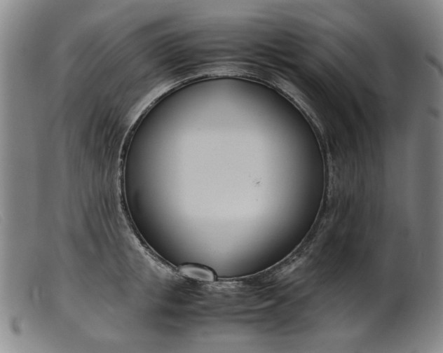 X0000099400853200805221854