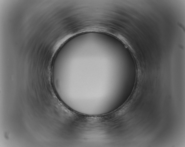 X0000099400854200805221854