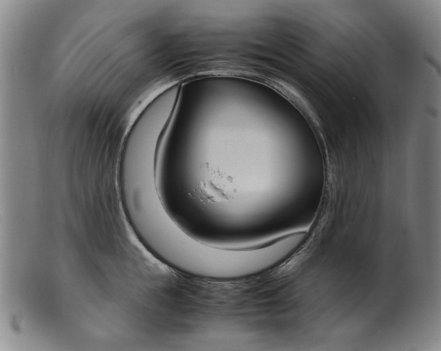 X0000099400855200805221854