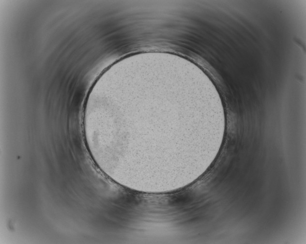 X0000099400856200805221854