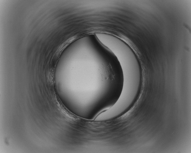 X0000099400857200805221854