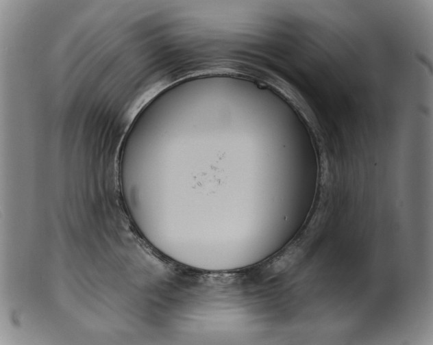 X0000099400858200805221854