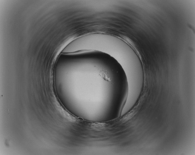 X0000099400859200805221854