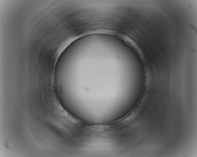 X0000099400860200805221854