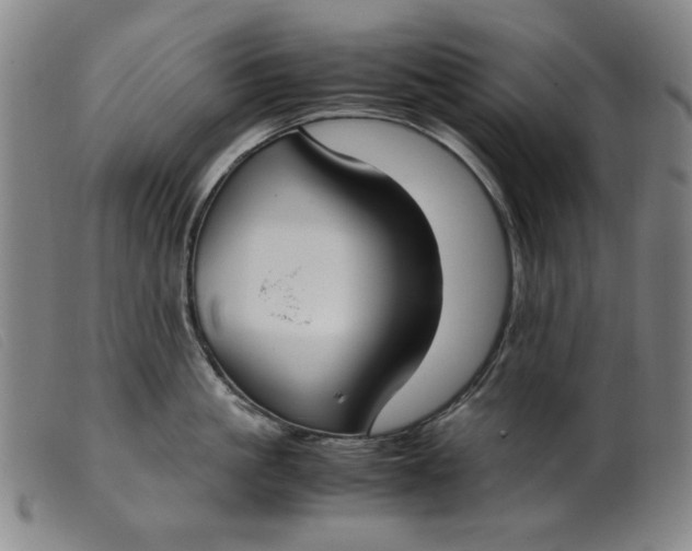 X0000099400861200805221854