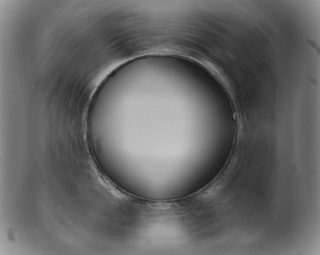 X0000099400862200805221854