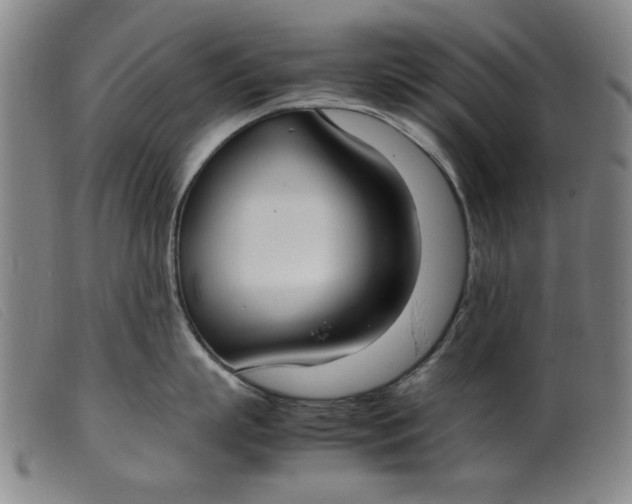 X0000099400863200805221854