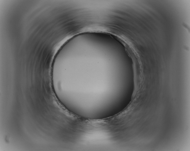 X0000099400864200805221854