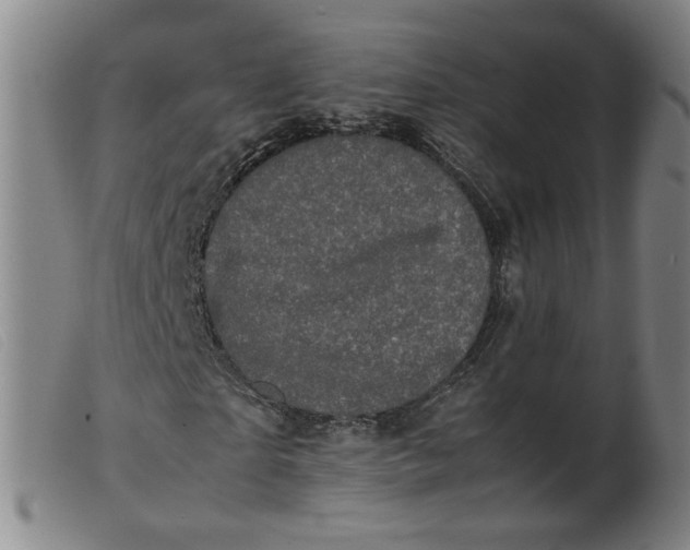 X0000099400865200805221853