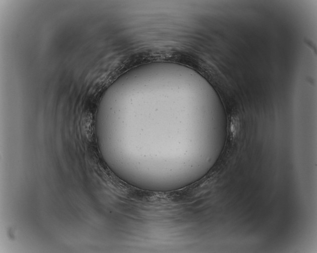 X0000099400867200805221853