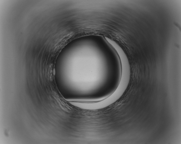 X0000099400868200805221853