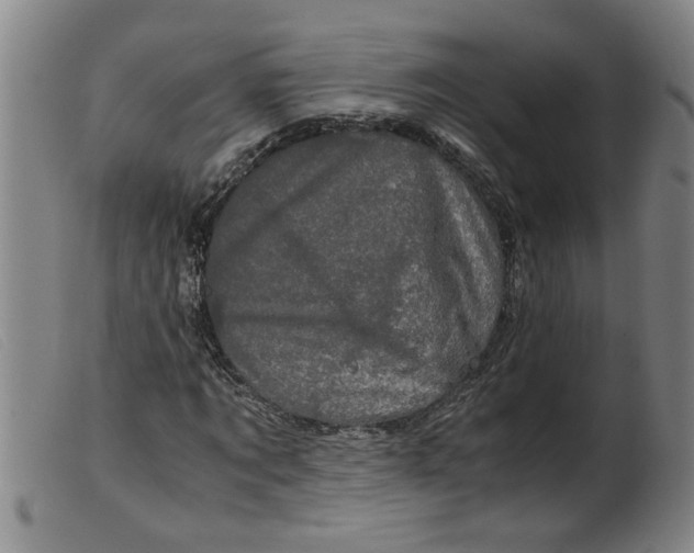 X0000099400869200805221853