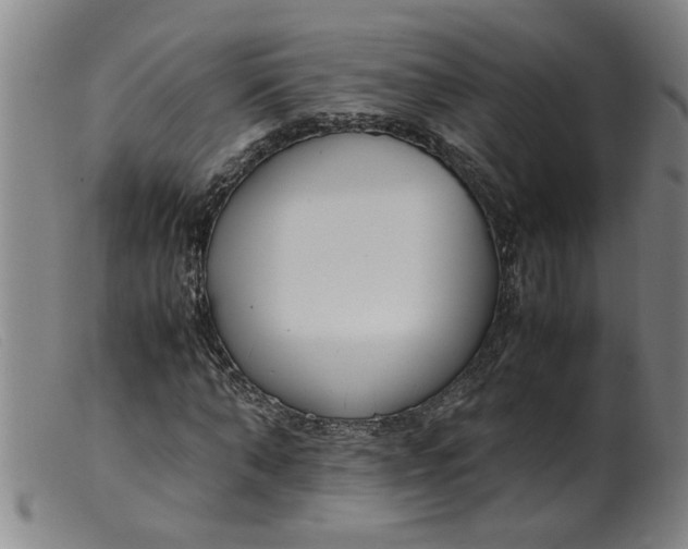 X0000099400870200805221853