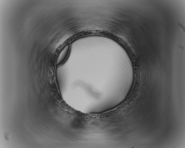 X0000099400871200805221853