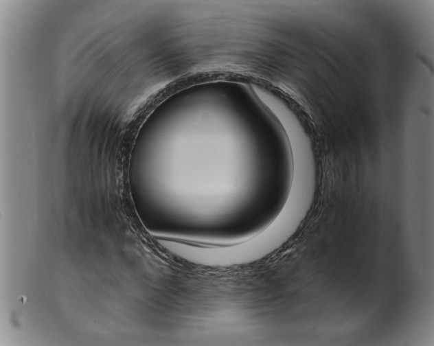 X0000099400872200805221853