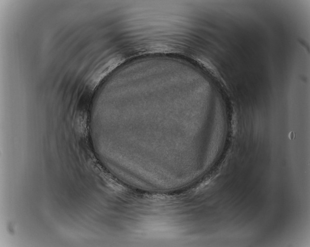 X0000099400873200805221853