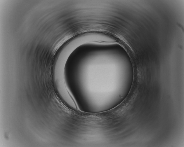 X0000099400874200805221853