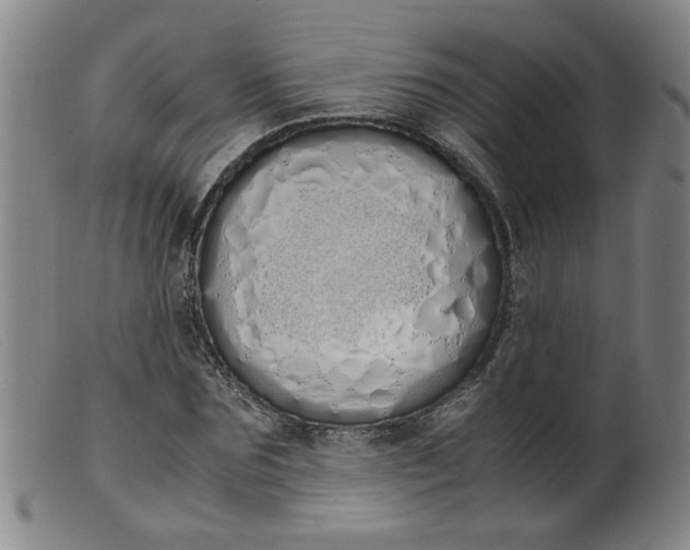 X0000099400875200805221853