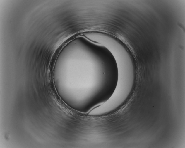 X0000099400876200805221853