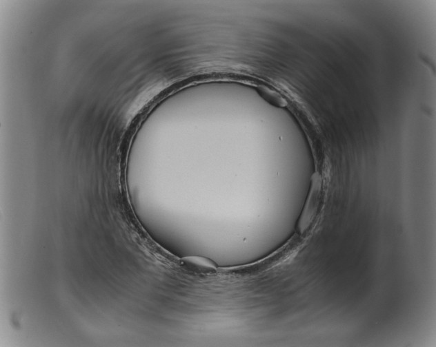 X0000099400877200805221853