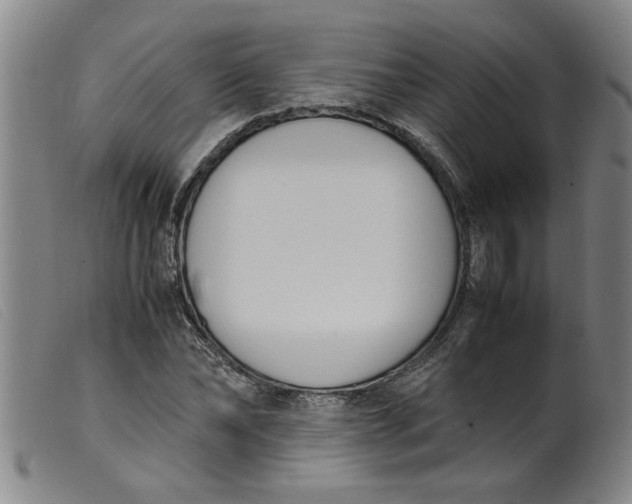 X0000099400878200805221853