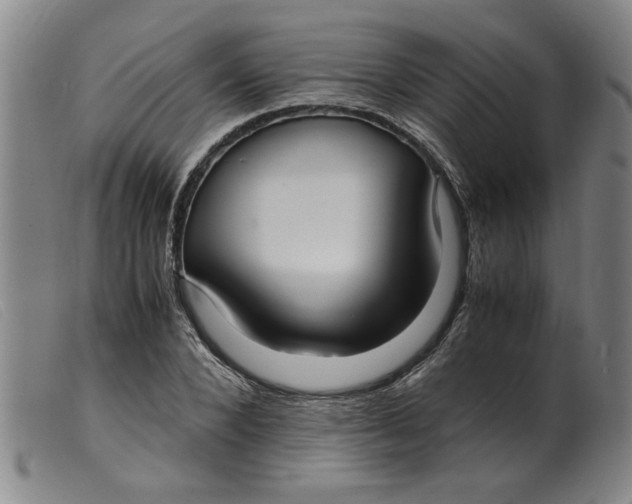 X0000099400880200805221853