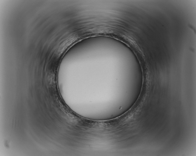 X0000099400881200805221853