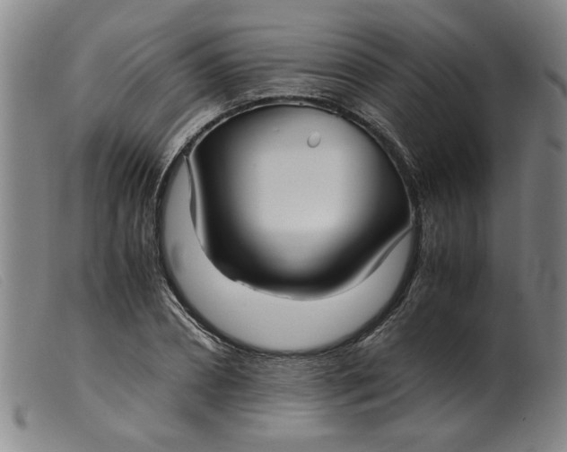 X0000099400882200805221853