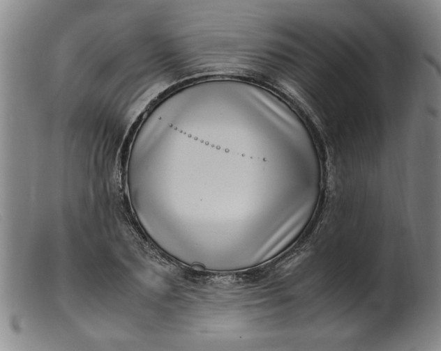 X0000099400883200805221853