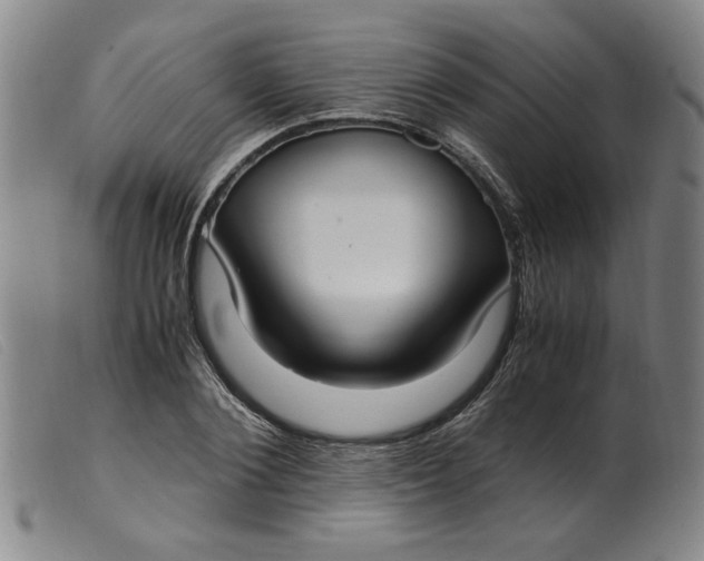 X0000099400884200805221853