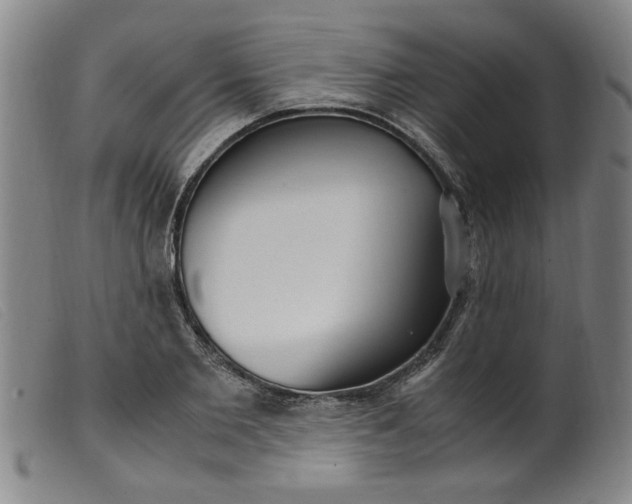 X0000099400885200805221853