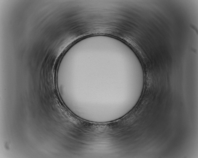 X0000099400886200805221853