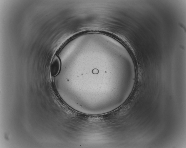 X0000099400887200805221853