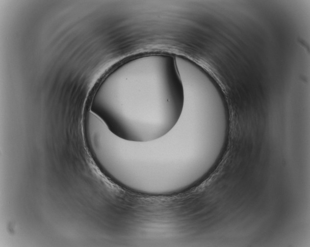 X0000099400888200805221853