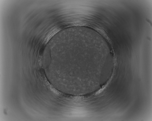 X0000099400889200805221853