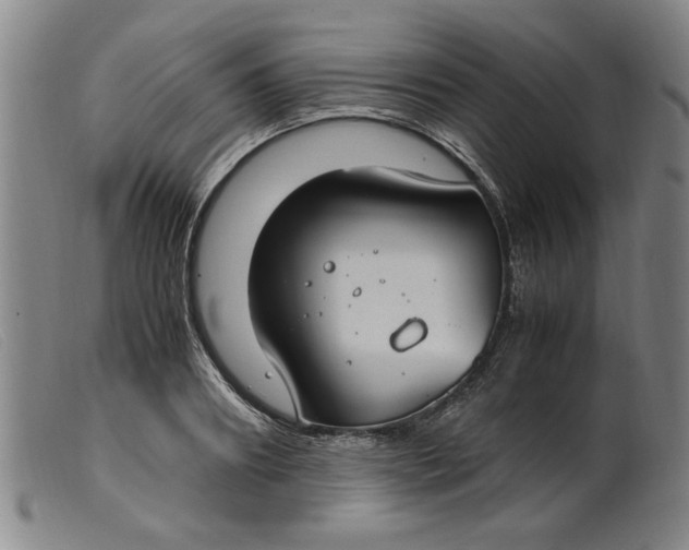 X0000099400890200805221853