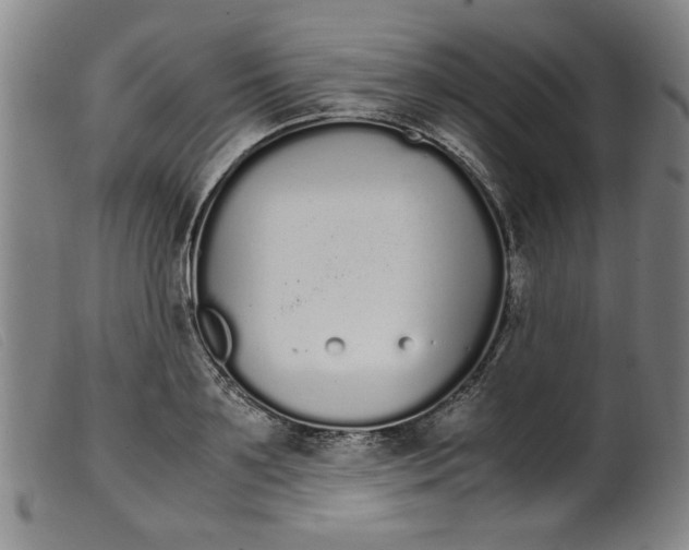 X0000099400891200805221853