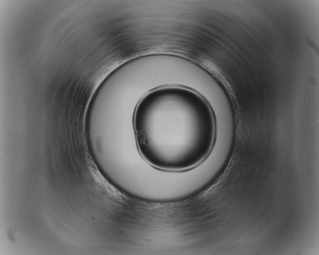 X0000099400892200805221853