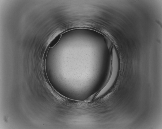 X0000099400893200805221853