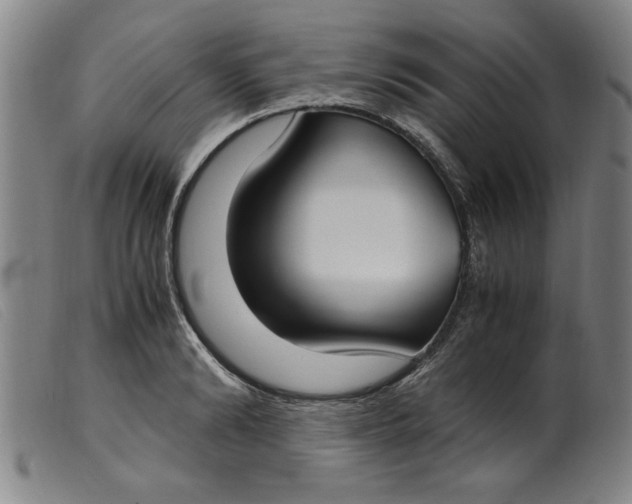 X0000099400894200805221853