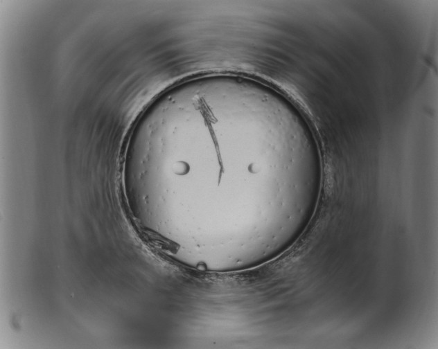 X0000099400895200805221853