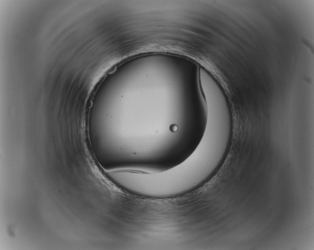 X0000099400896200805221853