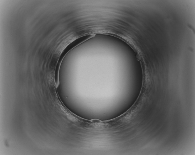 X0000099400897200805221853