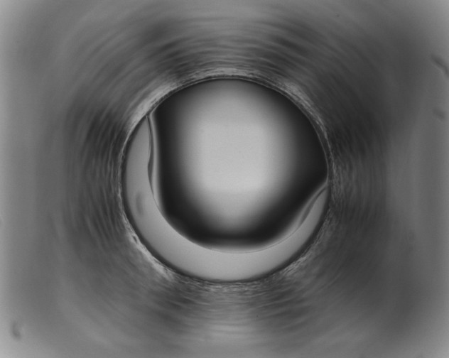 X0000099400898200805221853