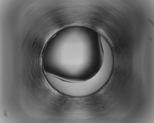 X0000099400900200805221853