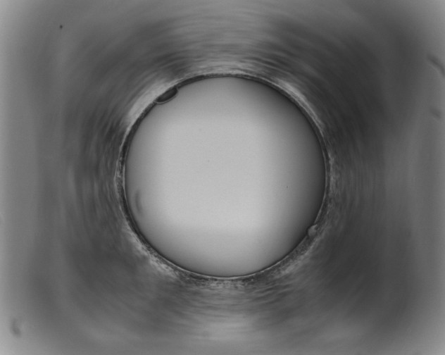 X0000099400901200805221853