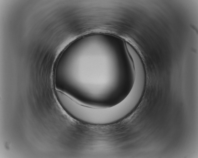 X0000099400902200805221853