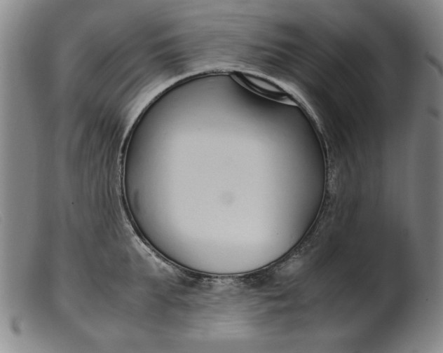 X0000099400903200805221853