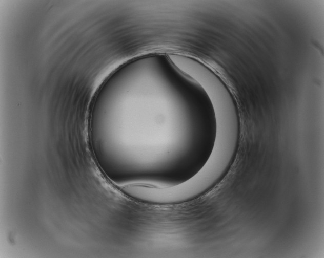 X0000099400904200805221853