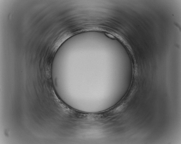 X0000099400905200805221853